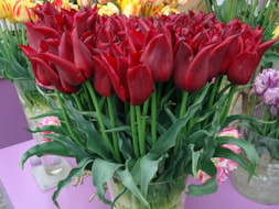 Lasting Love (2)